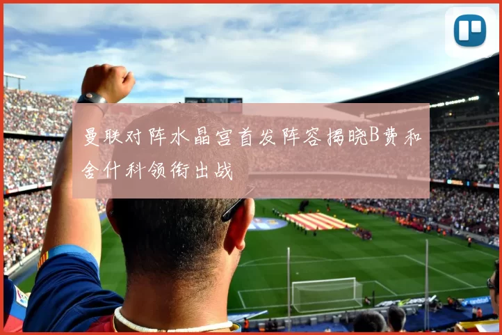 曼联对阵水晶宫首发阵容揭晓B费和舍什科领衔出战